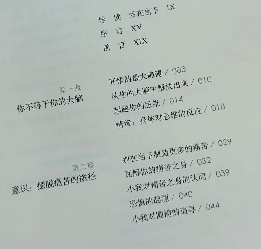 《当下的力量》在线阅读：觉醒当下，找回内心平静与力量