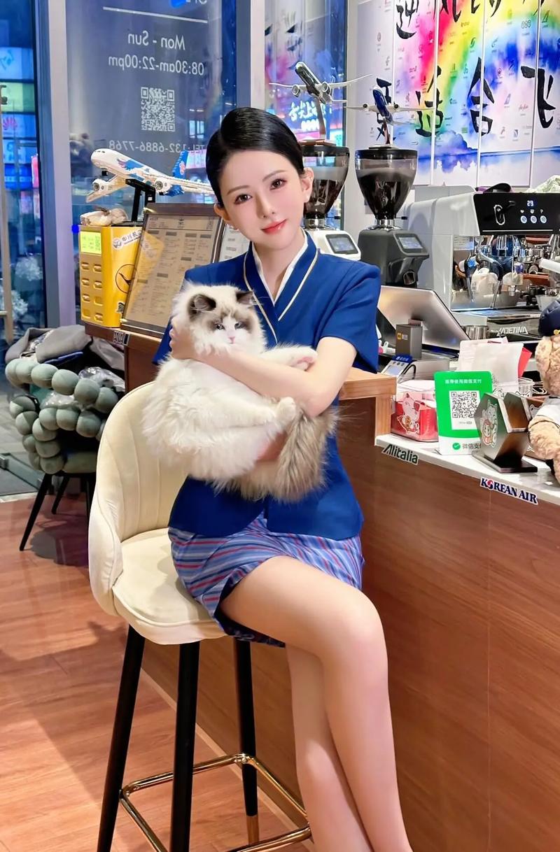蓝天航空的空姐在线阅读 | 高空恋爱小说全文免费