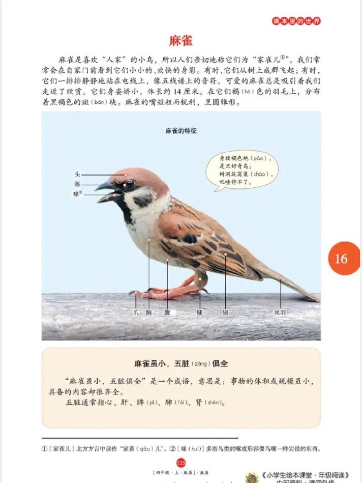 阿宾1-72最新章节全文免费在线阅读