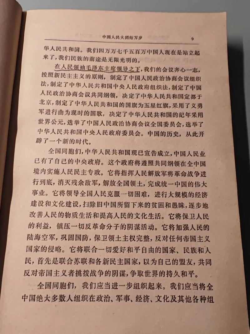 大团结全文免费阅读 | 在线完整版小说