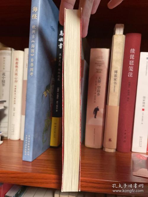 王子的骑士全文免费在线阅读 | 热门小说推荐