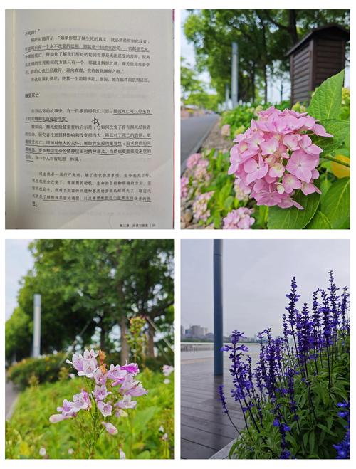 掠婚小说免费阅读在线 - 热门霸总追妻文大全