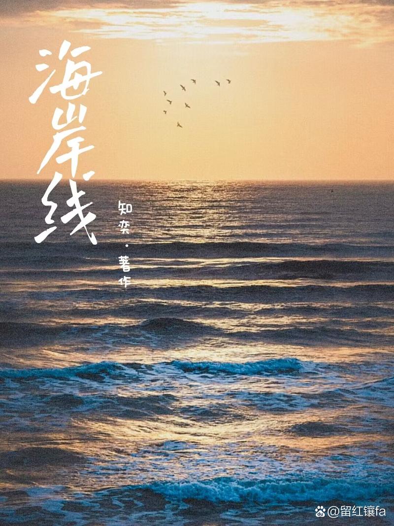 海岸线文学网全文在线阅读 - 海量小说免费畅读