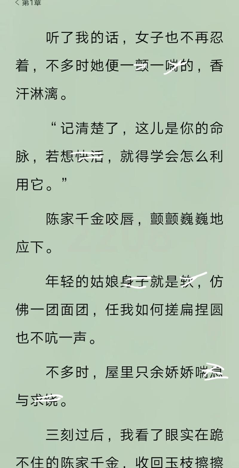 完美人生沈浪小说全文免费阅读_完整版在线无弹窗