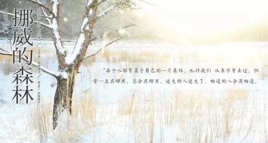 国医高手全集在线阅读 | 国医高手章节目录