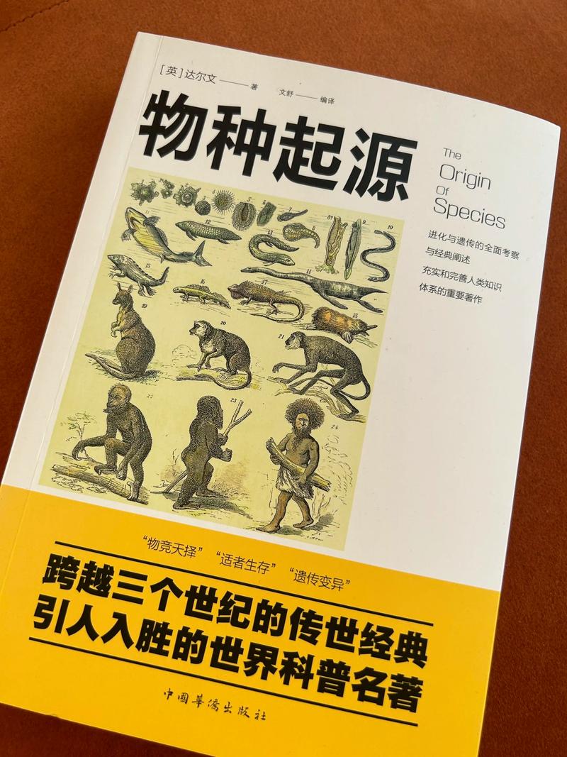 一受封疆全文TXT在线阅读 | 经典古风小说免费阅读