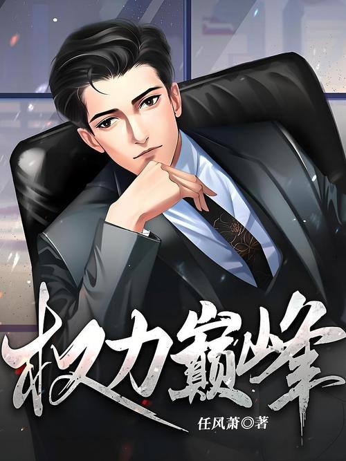 权力巅峰在线全文阅读的相关介绍