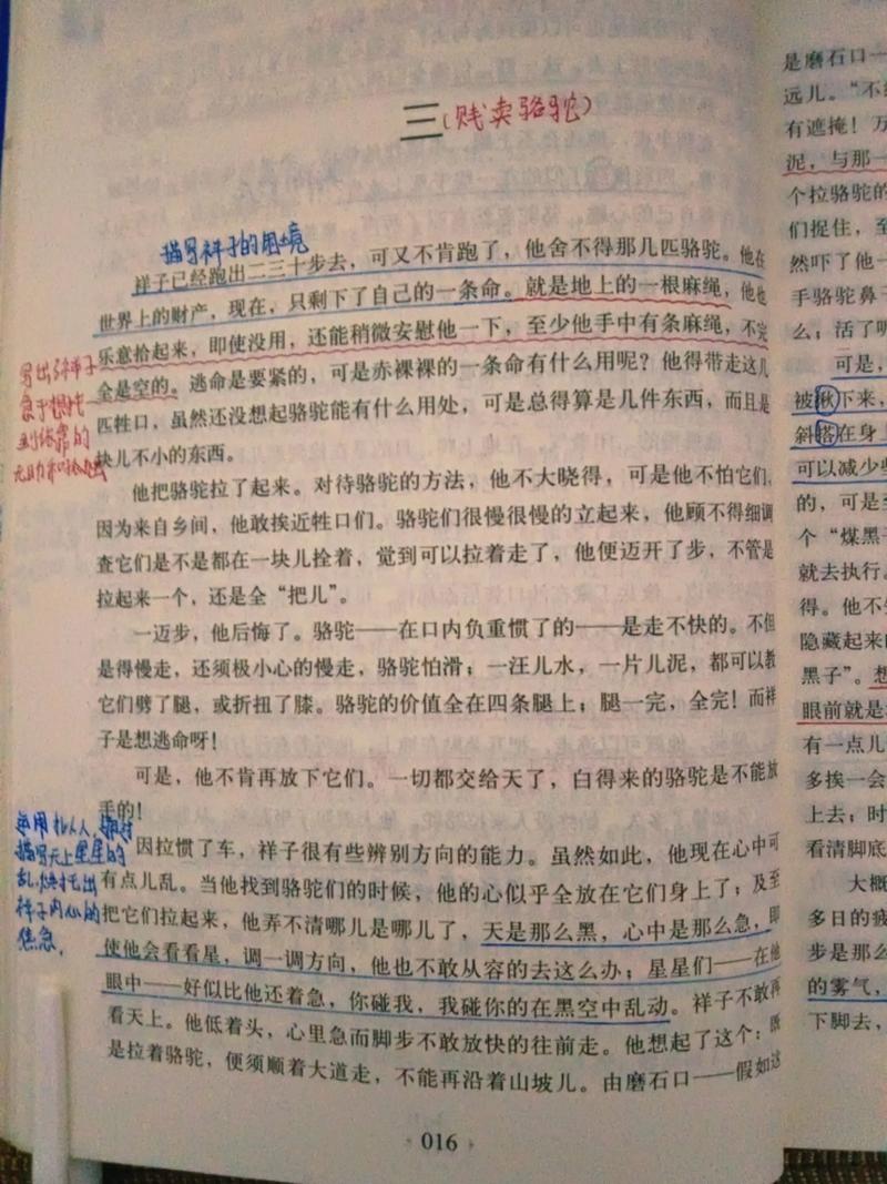 骆驼祥子原著在线阅读 | 老舍经典小说全文免费看