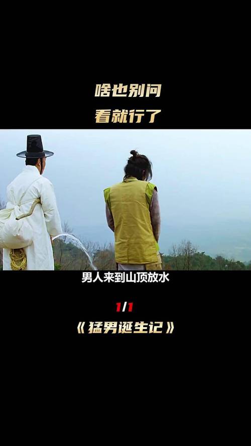 和月折梨花全文免费在线阅读 | 经典小说无弹窗