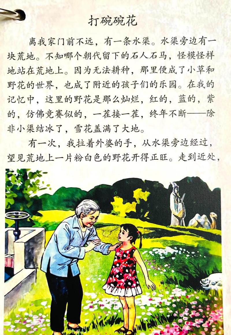 第二性全文在线阅读 | 波伏娃女性主义经典著作完整版