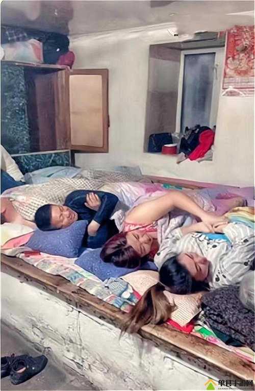 东北大炕全文在线阅读_经典怀旧小说推荐