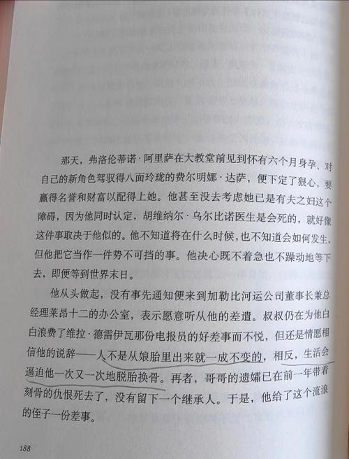 京洛再无佳人2全文免费在线阅读 | 续写京洛情缘