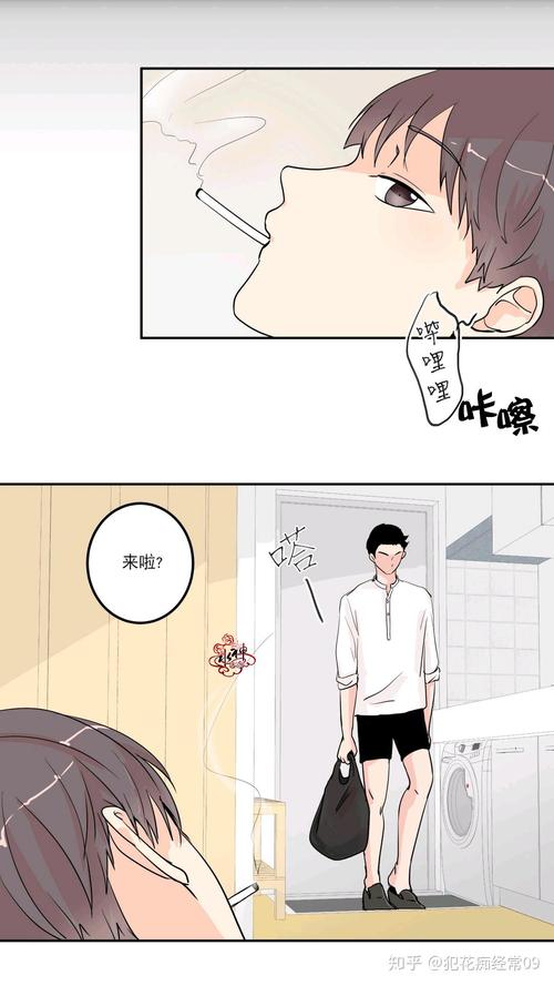 《窗外的窗》高清全文免费在线阅读 | 精品小说推荐