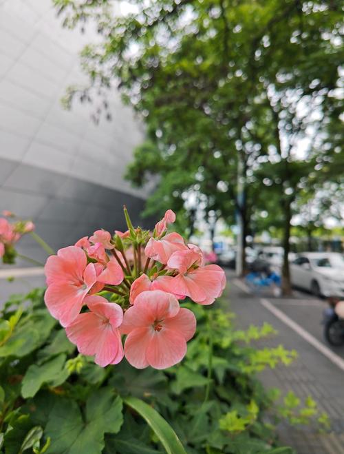 王倩小说在线阅读 | 最新作品免费阅读